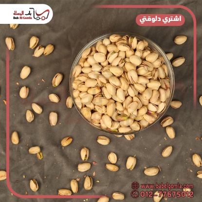 صورة فسدق حصي امريكي بريمكس 18/20 ني